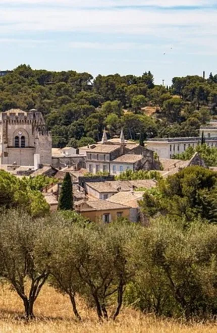 Expert web Vaucluse
