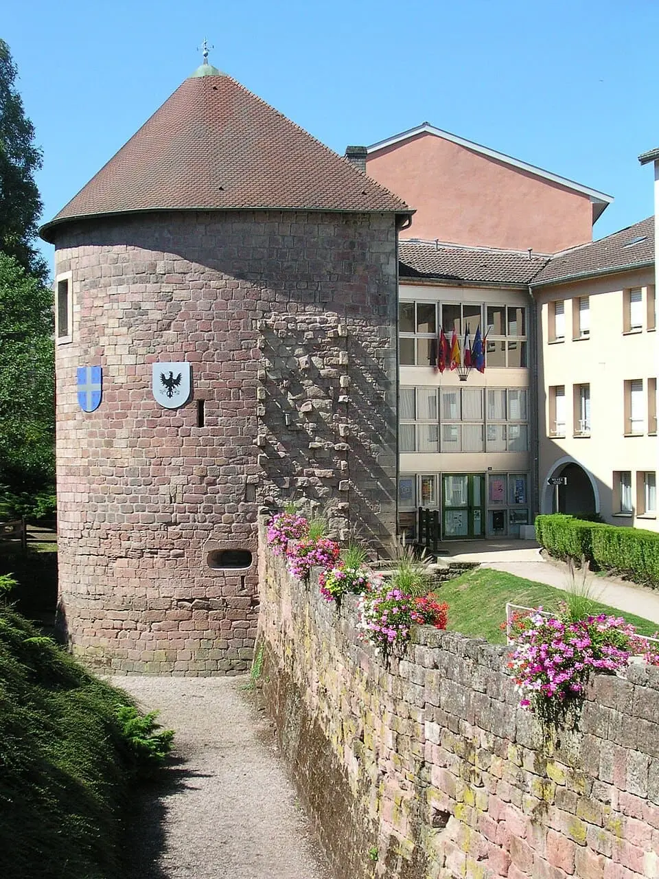 Expert web Vosges
