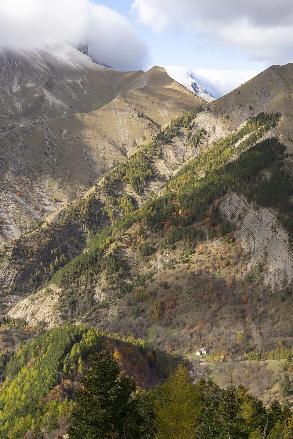Expert web Hautes-Alpes