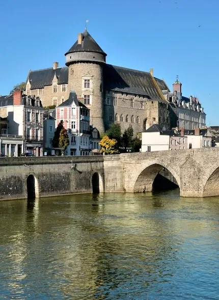 Expert web Mayenne