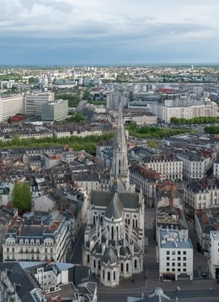 Expert web Loire-Atlantique